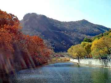 大三巴一肖二码最准，大鹏背景